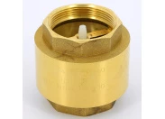 Клапан обратный пружинный EUROPA ITAP 2"